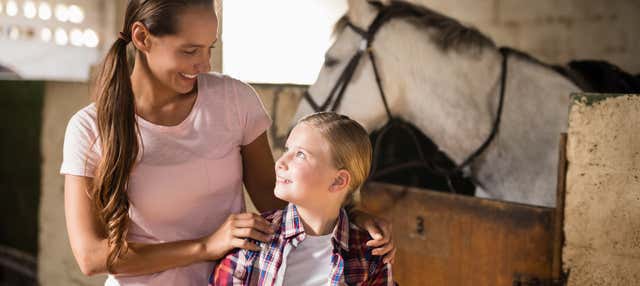 Escursione a Lipizza con visita a una scuderia + Grotte di San Canziano