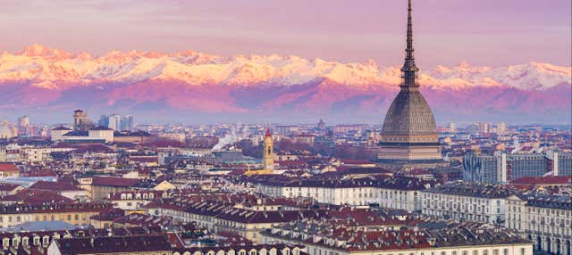 Visita guidata di Torino