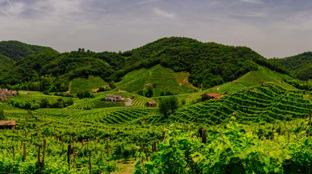 Valdobbiadene