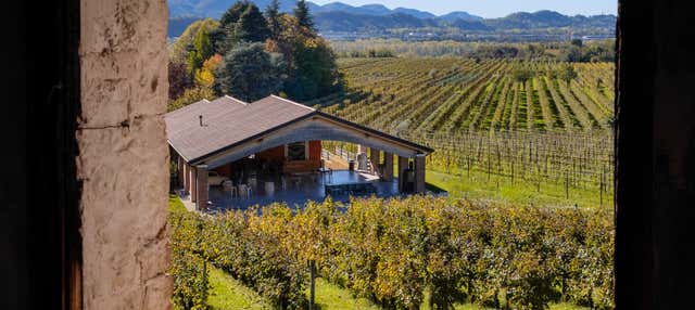 Visita alla cantina Fasol Menin + Degustazione