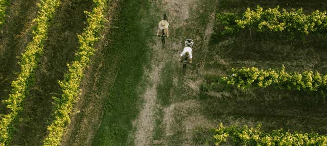 Visita alla cantina Corte Fornello + Noleggio bici elettrica