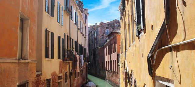 Guided Tour of Venice