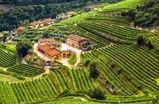 Valpolicella Wine Tour