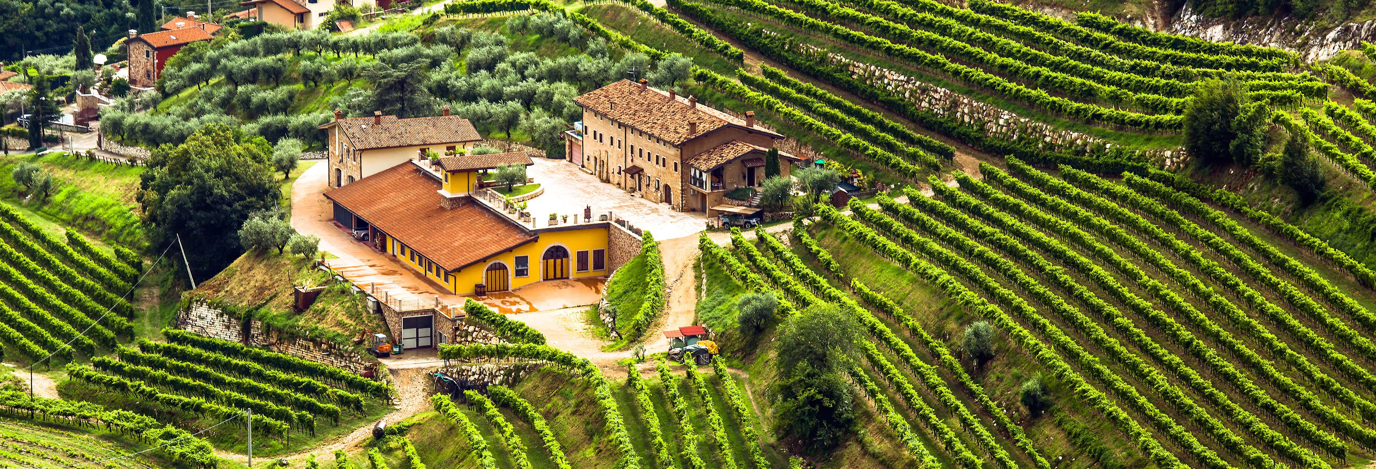 Tour do vinho por Valpolicella