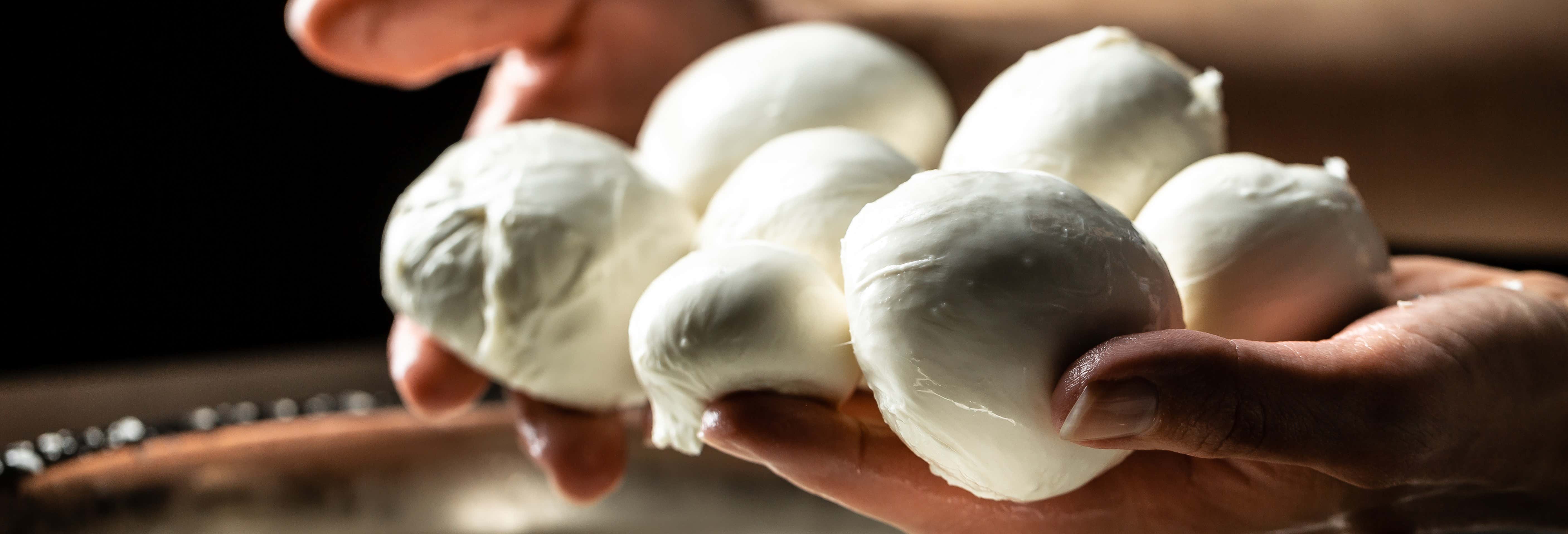 Mozzarella Workshop in Vico Equense