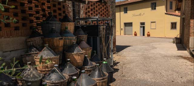 Degustazione di vino alla Fattoria Dianella 1