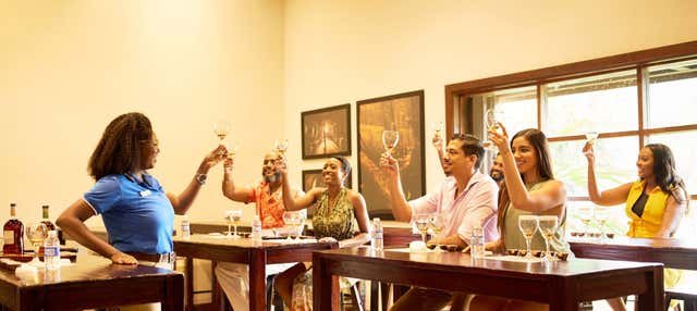 Escursione ad Appleton Estate