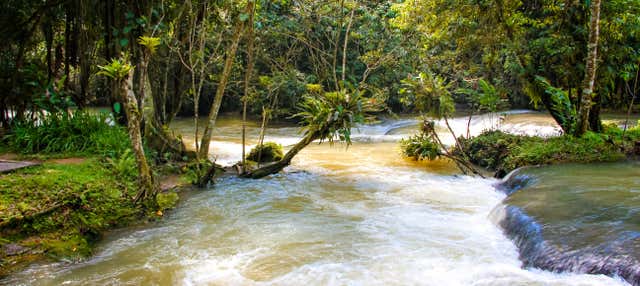 Escursione alle cascate del fiume Dunn