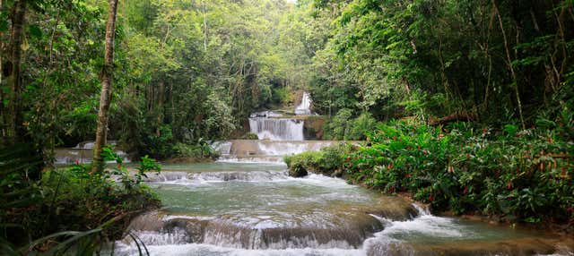 Escursione a Black River e alle Cascate YS