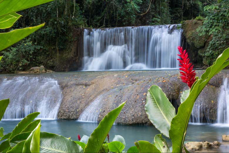 Las cascadas YS son toda una joya natural de Jamaica - Las cascadas YS son toda una joya natural de Jamaica