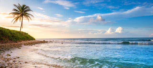 Parasailing + Moto d'acqua a Montego Bay