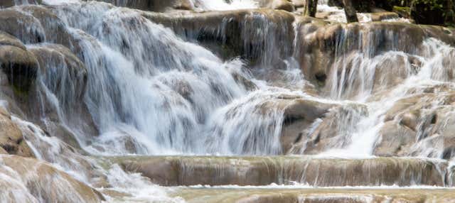 Tour di Bob Marley + Cascate del fiume Dunn