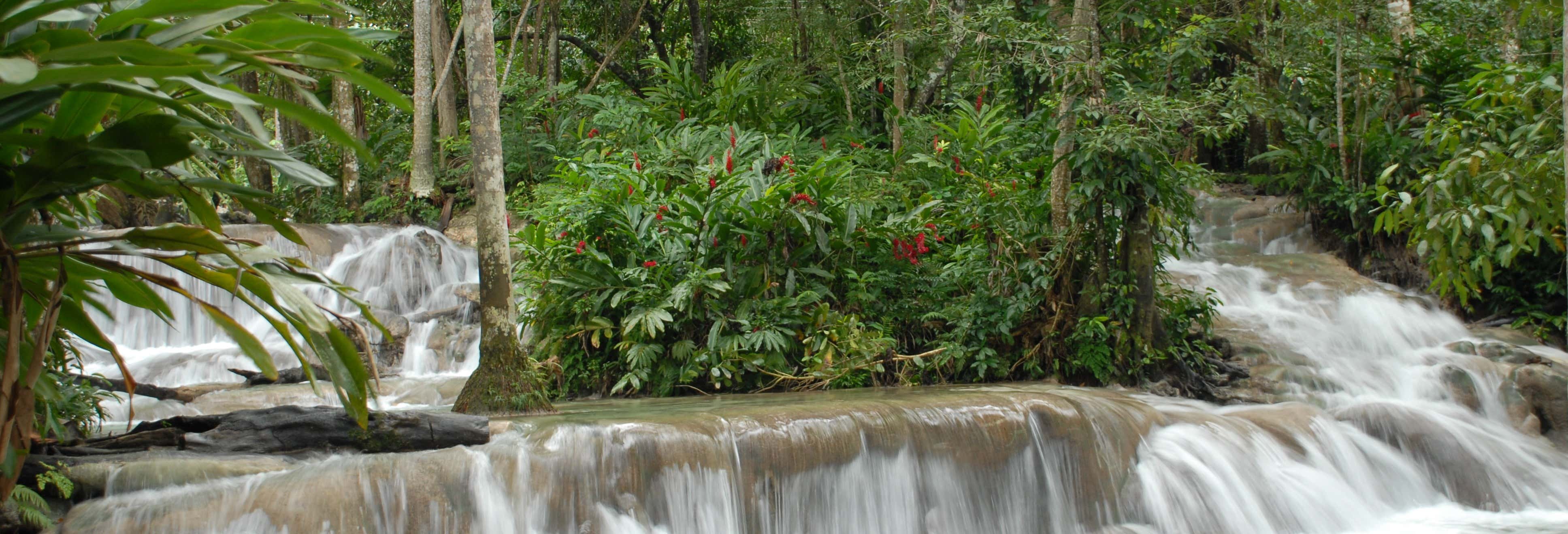 Dunn's River Falls Day Trip