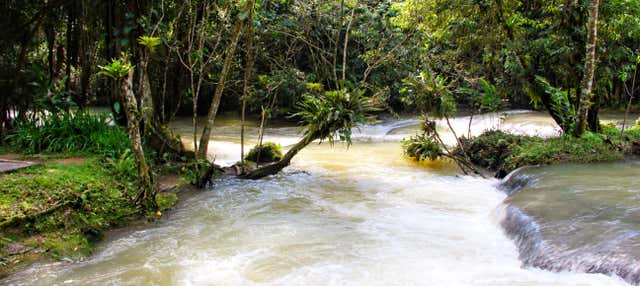 Escursione a Black River e alle Cascate YS