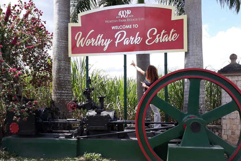 Worthy Park Estate - Worthy Park Estate