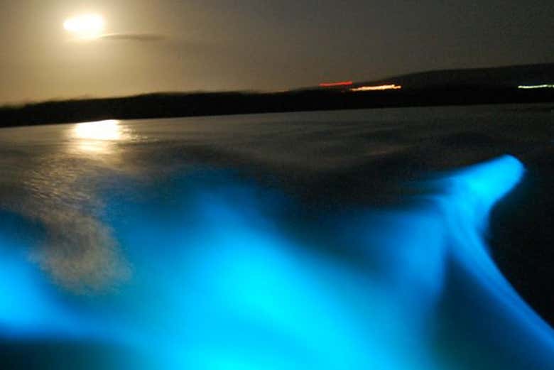 Imagen 3
