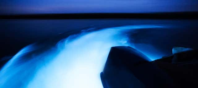 Crociera serale sulla Laguna Luminosa