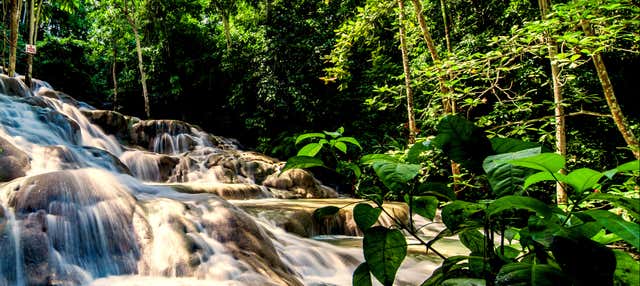 Tour di Bob Marley + Cascate del fiume Dunn