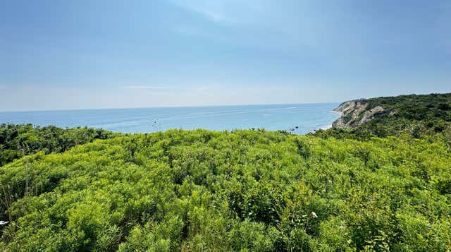Green Island