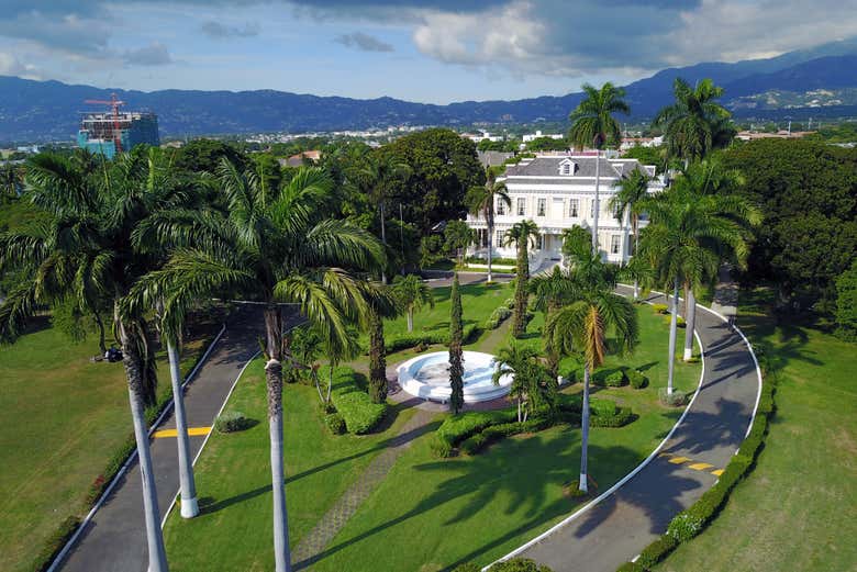Imagen 5