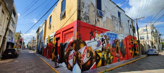 Tour della street art di Kingston