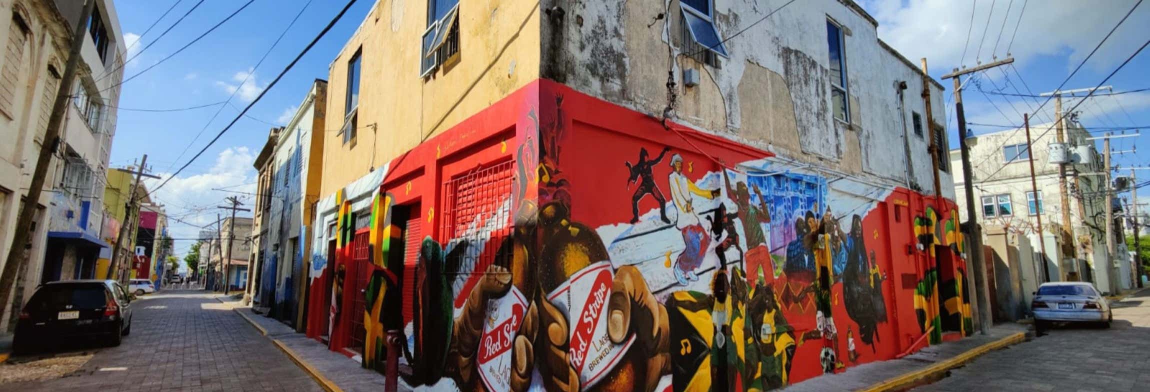 Tour della street art di Kingston