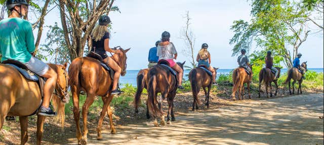 Escursione al Chukka Ocean Outpost