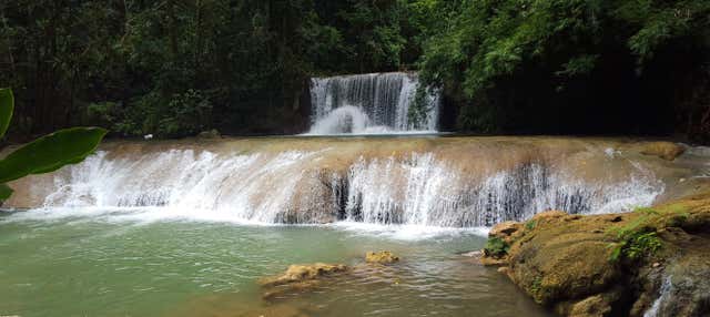 Excursión a las cataratas Mayfield Falls
