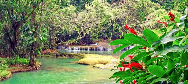 Escursione a Black River e alle Cascate YS