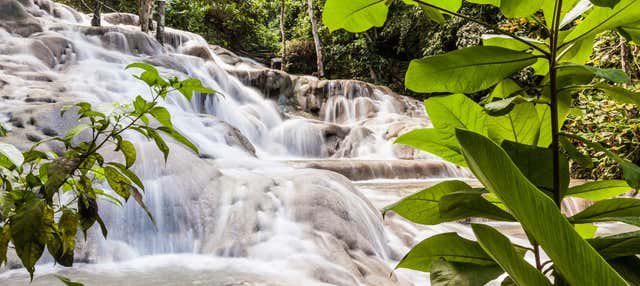 Escursione alle cascate del fiume Dunn + Arrampicata sulla cascata