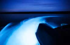 Luminous Lagoon Night Trip