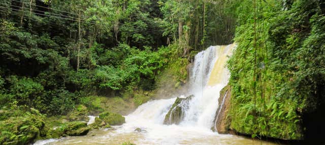 Escursione a Black River e alle Cascate YS
