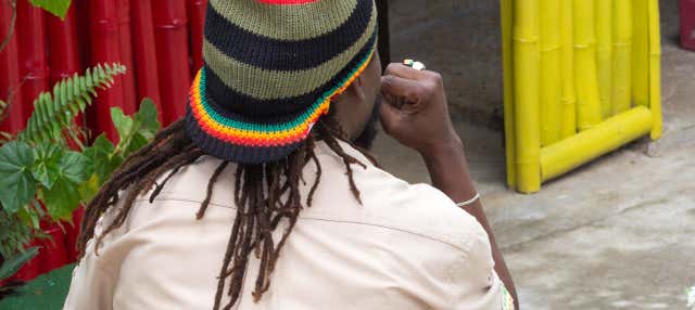 Tour di Bob Marley + Cascate del fiume Dunn