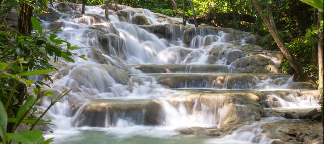Giro in catamarano alle cascate del fiume Dunn