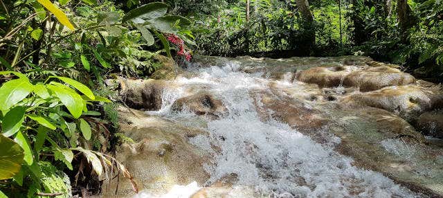 Escursione alle cascate del fiume Dunn