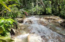 Excursión a las cascadas del río Dunn