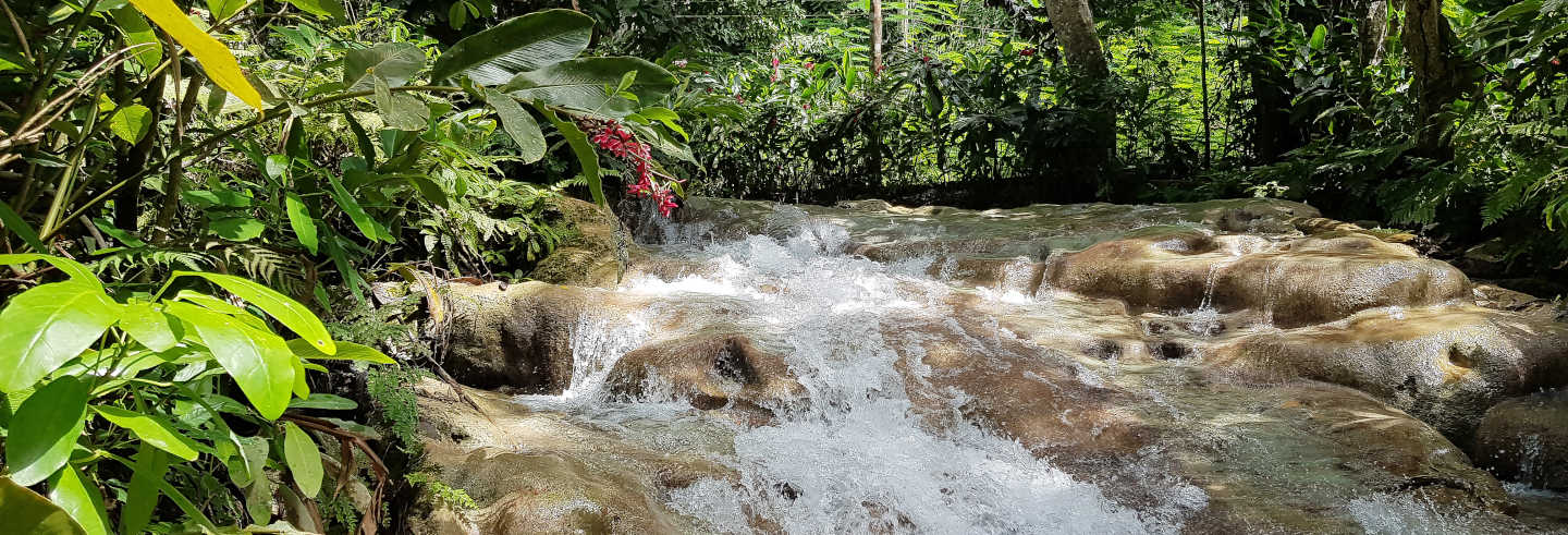 Dunn's River Falls Excursion