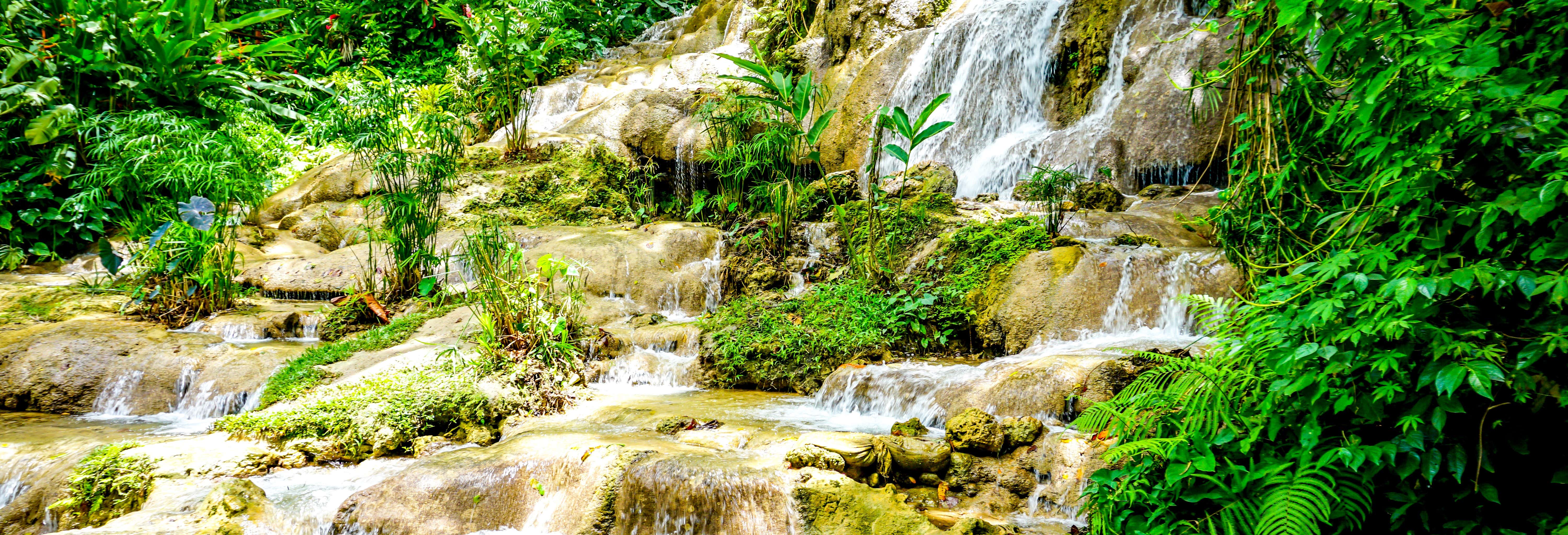 Escursione alle cascate Konoko Falls e alle grotte Green Grotto
