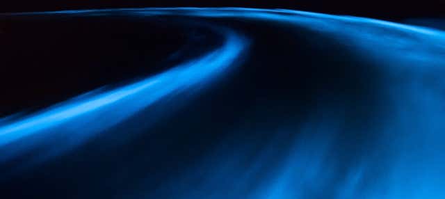 Escursione serale alla Laguna Luminosa