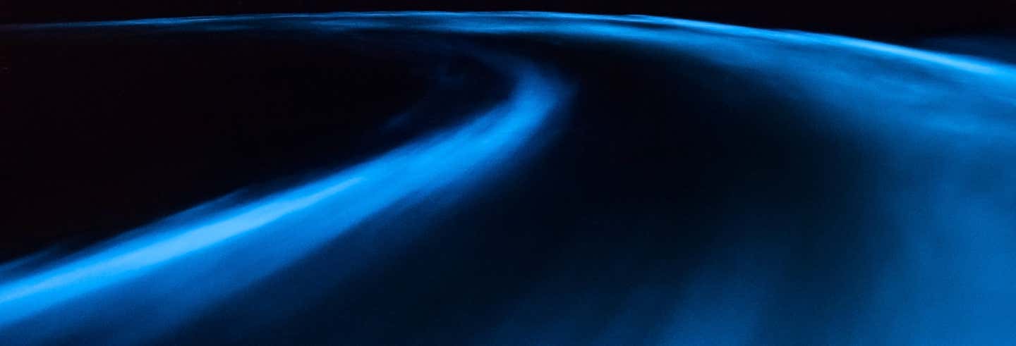 Escursione serale alla Laguna Luminosa