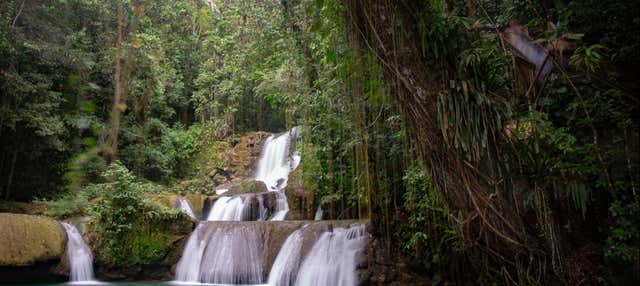 Escursione a Black River e alle Cascate YS