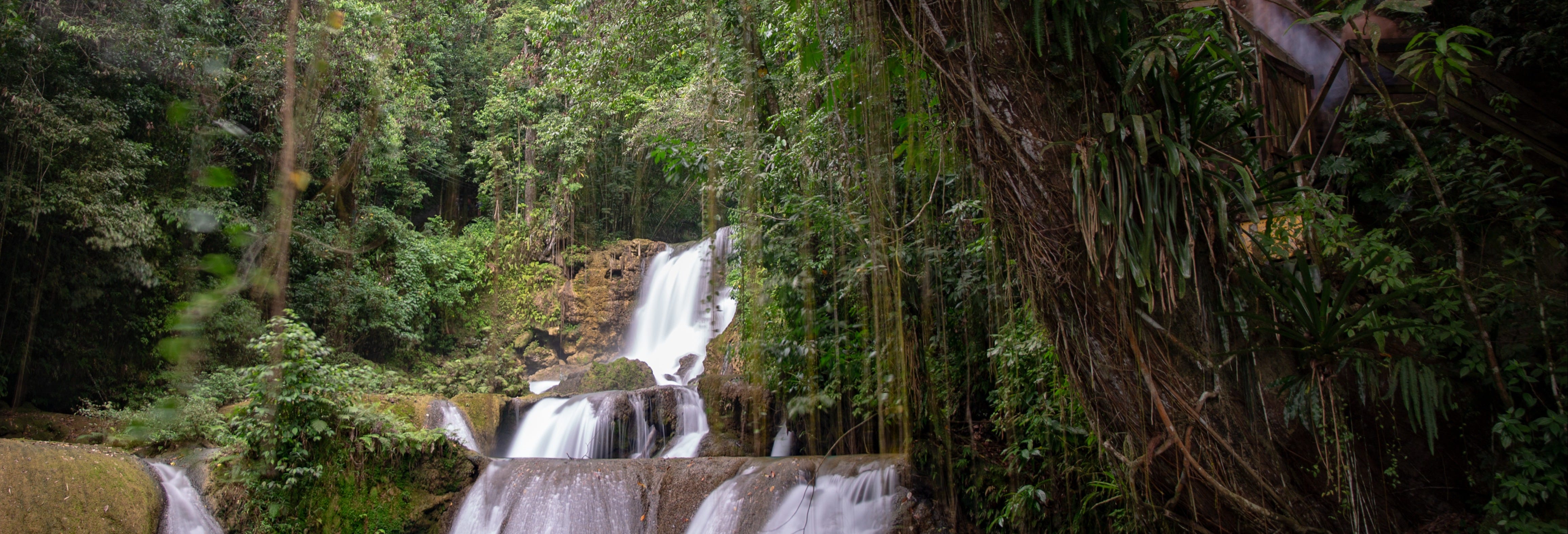 Black River & YS Falls Day Trip