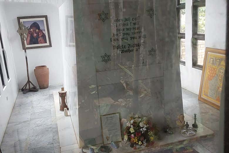 Imagen 6