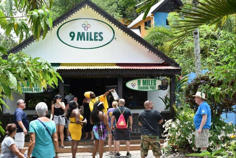 Bob Marley Tour + Dunn's River Falls