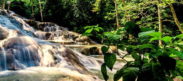 Escursione a Ocho Ríos + Cascate del fiume Dunn