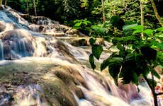 Excursión a Ocho Ríos + Cascadas del río Dunn