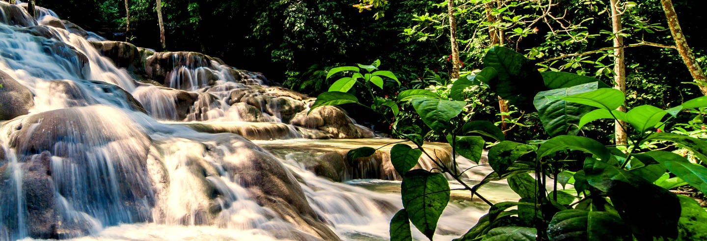 Ocho Rios & Dunn's River Falls Day Trip