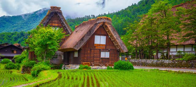 Tour por Kanazawa y Shirakawago con guía