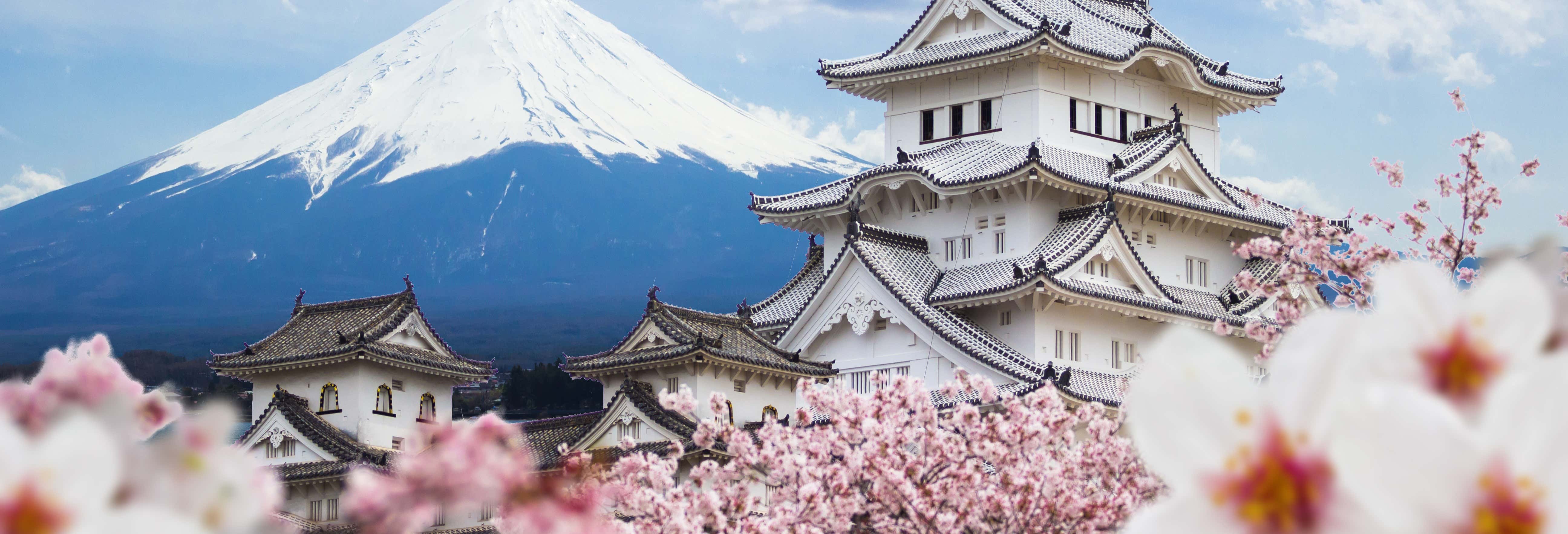 Excursión privada a Himeji y Kobe