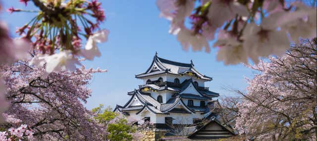 Escursione privata a Osaka